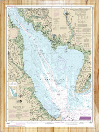 Delaware Bay Nautical Map (NOAA)