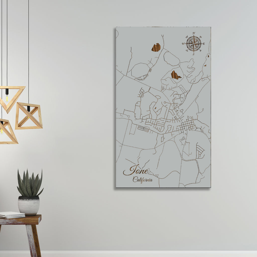 Ione, California Street Map Fire & Pine