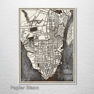 1898 Charleston Historic Map - Fire & Pine