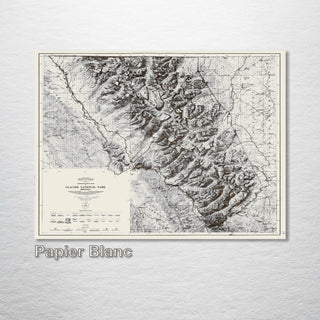 Glacier National Park - Fire & Pine