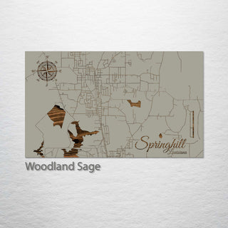 Springhill, Louisiana Street Map