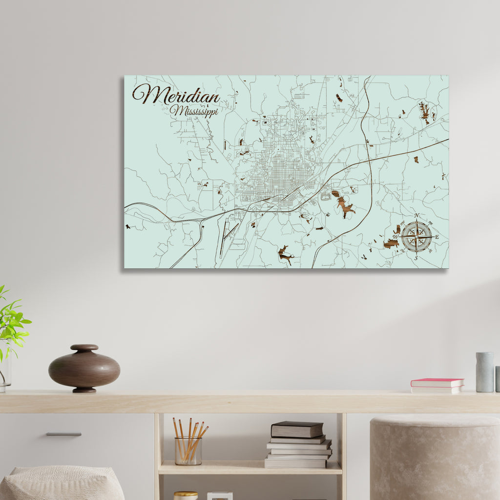 Meridian, Mississippi Street Map – Fire & Pine