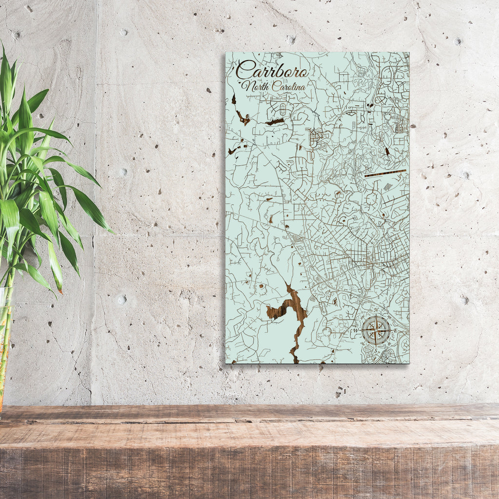 Carrboro, North Carolina Street Map Fire & Pine