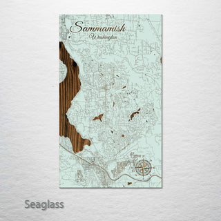 Sammamish, Washington Street Map