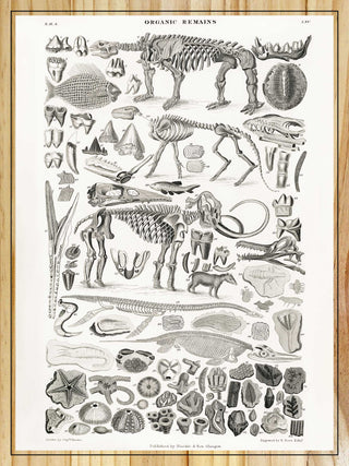 P&P Outdoor Living Space Art Ideas