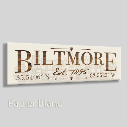 FP0188 - Biltmore, North Carolina Engraved Stick (Standard)