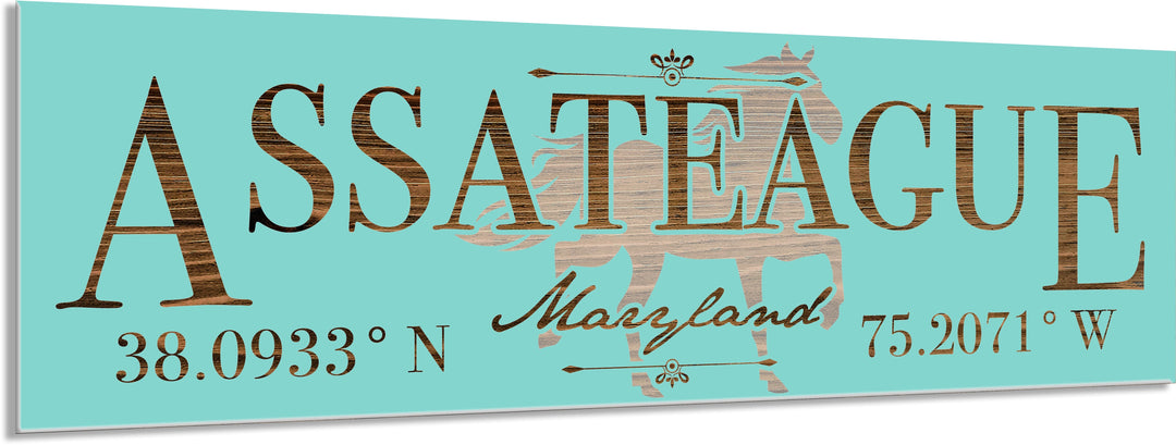 FP1263 - Assateague, MD Engraved Stick (Standard)