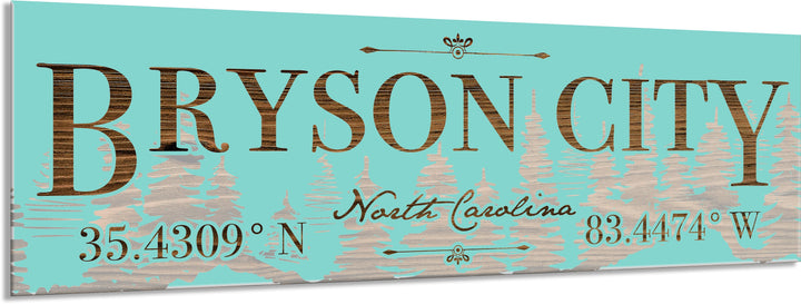 FP1860 - Bryson City, NC Engraved Stick (Bronze)
