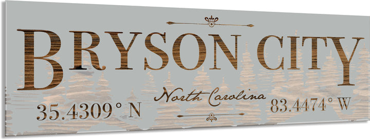 FP1860 - Bryson City, NC Engraved Stick (Bronze)