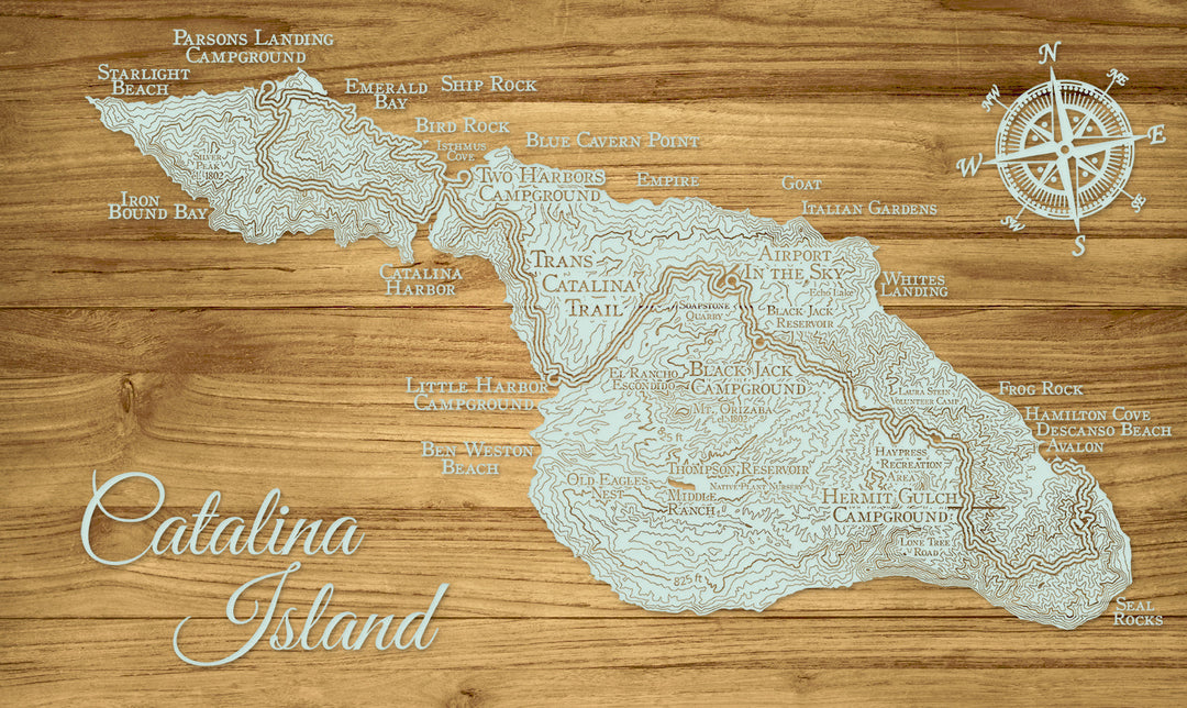 FP1654 - Mini to Small Trans Catalina Trail Labels, CA Engraved Map (Standard)