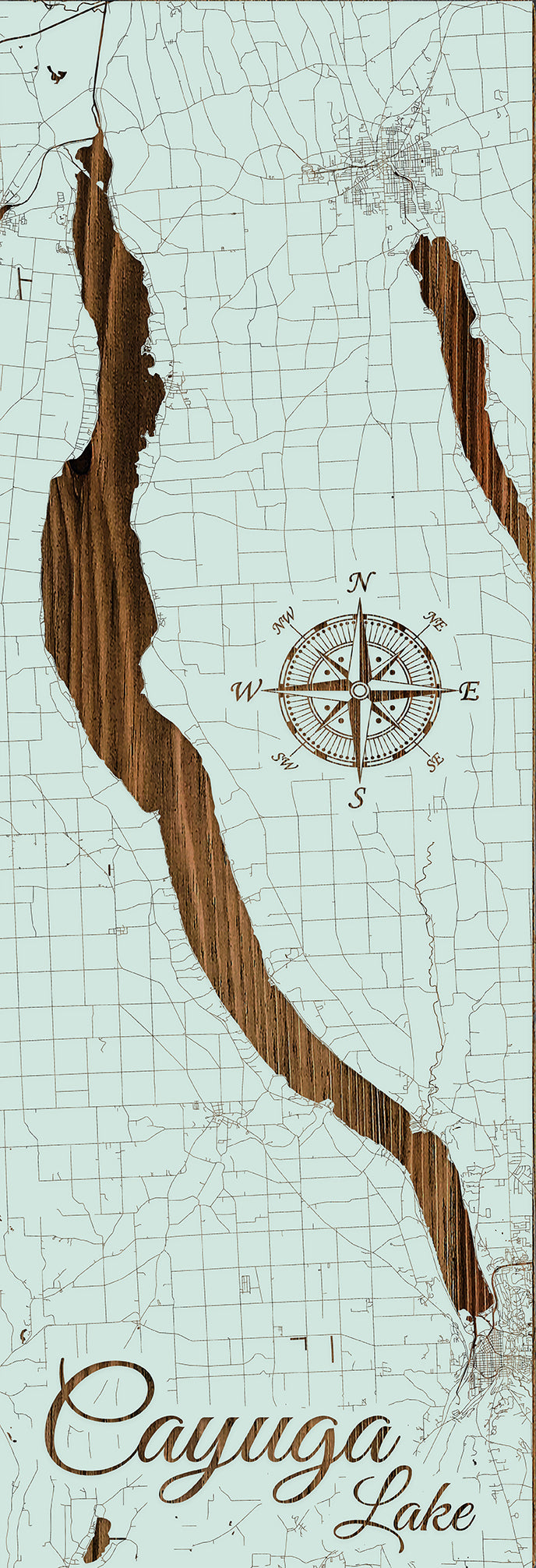 FP1496 - Cayuga Lake, NY Engraved Panoramic (Standard)
