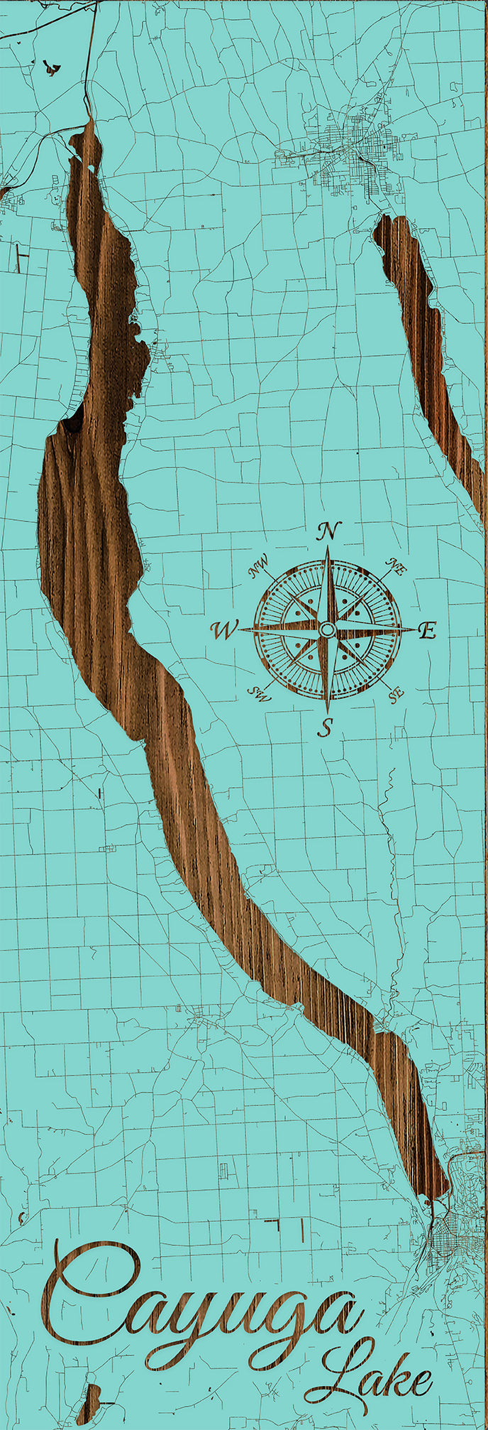 FP1496 - Cayuga Lake, NY Engraved Panoramic (Standard)