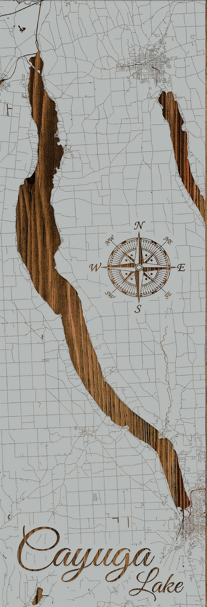 FP1496 - Cayuga Lake, NY Engraved Panoramic (Standard)