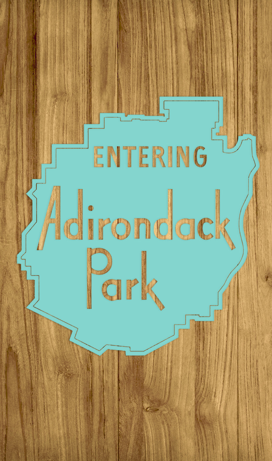 FP1112 - Adirondack Park, NY Engraved Map (Silver)