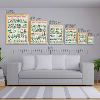 School and Family Charts - Botanical, Economical Uses of Plants