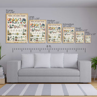 School and Family Charts - Botany, Economical Uses of Plants