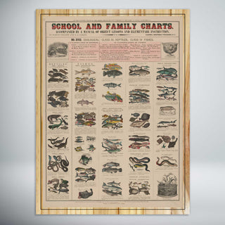 School and Family Charts - Zoological, Reptiles, Fishes