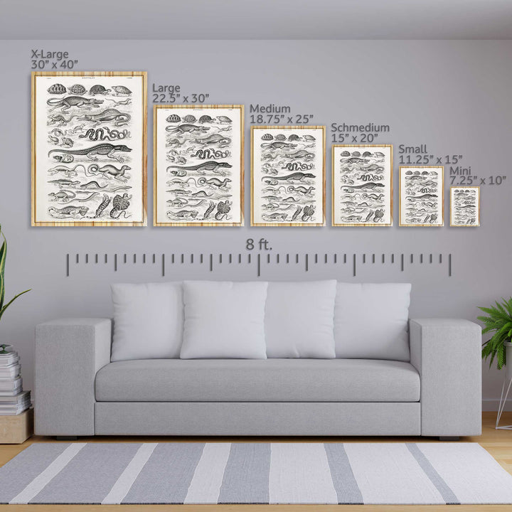 Reptiles by Oliver Goldsmith