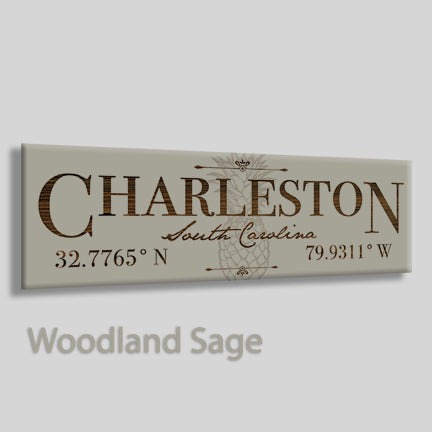 FP0383 - Charleston, South Carolina Engraved Stick (Bronze)