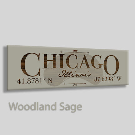 FP0383 - Chicago, Illinois Engraved Stick (Bronze)
