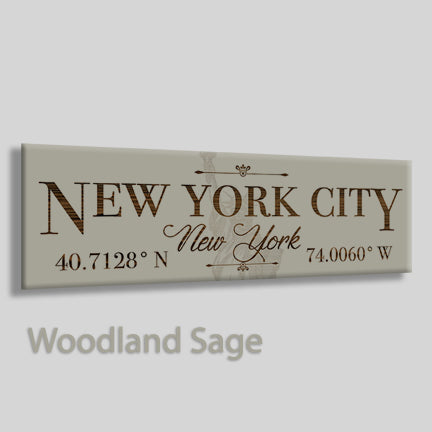 FP0383 - New York City, New York Engraved Stick (Bronze)