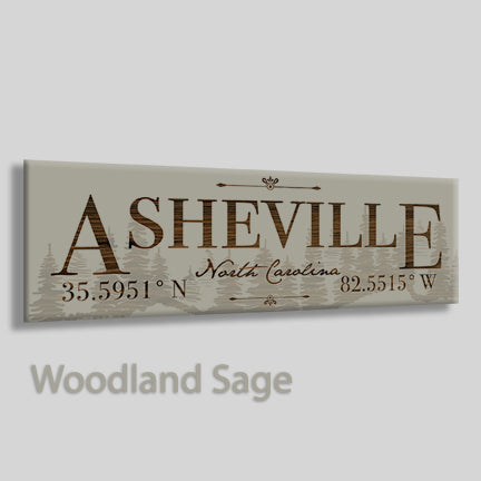 FP0383 - Asheville, North Carolina Engraved Stick (Bronze)