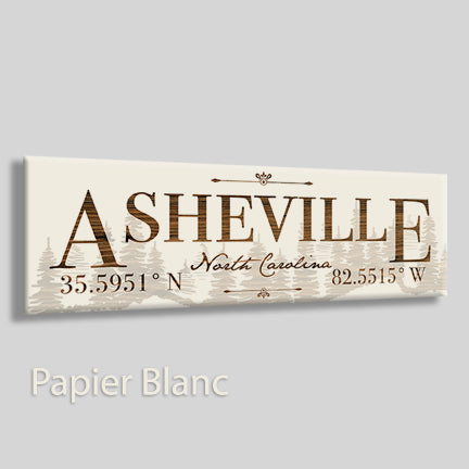 FP0383 - Asheville, North Carolina Engraved Stick (Bronze)