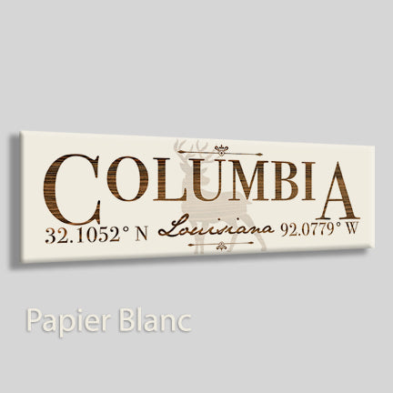 FP1607 - Columbia, LA Engraved Stick (Bronze)