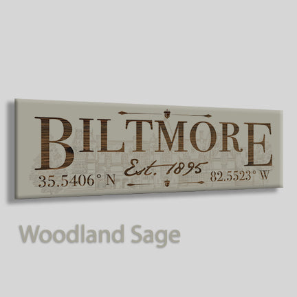 FP0188 - Biltmore, North Carolina Engraved Stick (Standard)