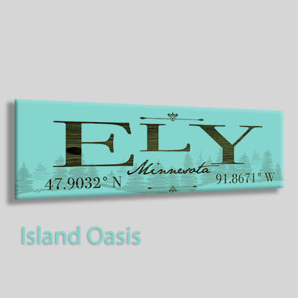 FP0932 - Ely, Minnesota Engraved Stick (Standard)