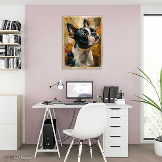 Olive the Boston Terrier