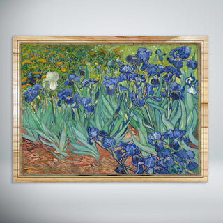 Irises by Vincent Van Gogh (1889)