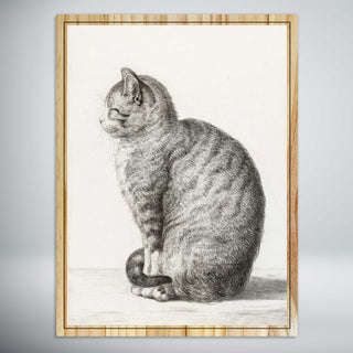 Sitting Cat by Jean Bernard (1815)