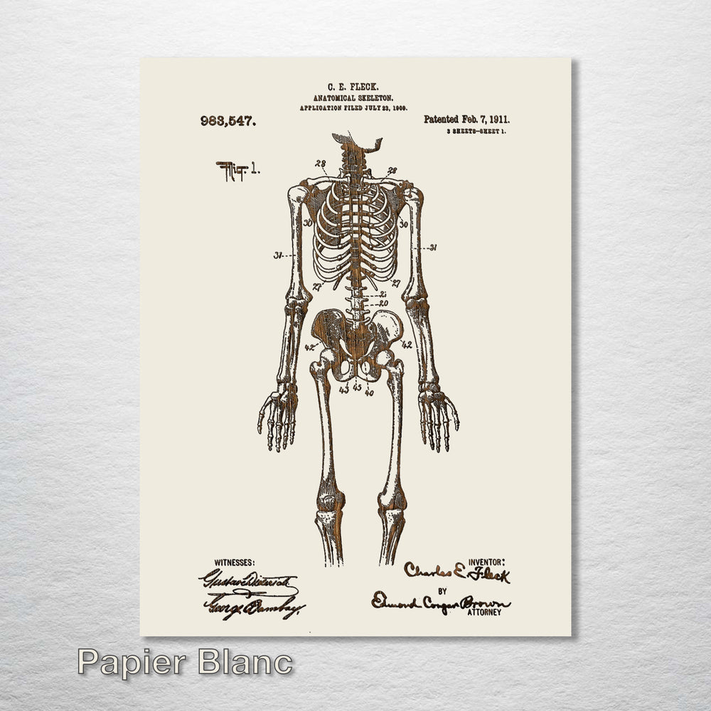 1911 Anatomical Skeleton Patent - Fire & Pine