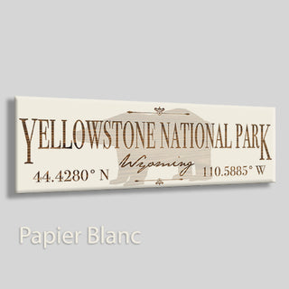 Yellowstone, Wyoming Bear