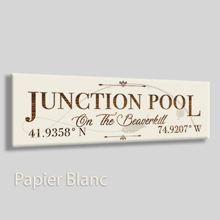 Junction Pool, On The Beaverkill