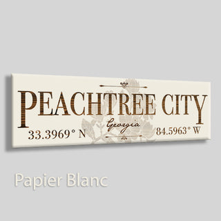 Peachtree City, Georgia