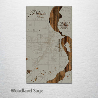 Palmer, Alaska Street Map