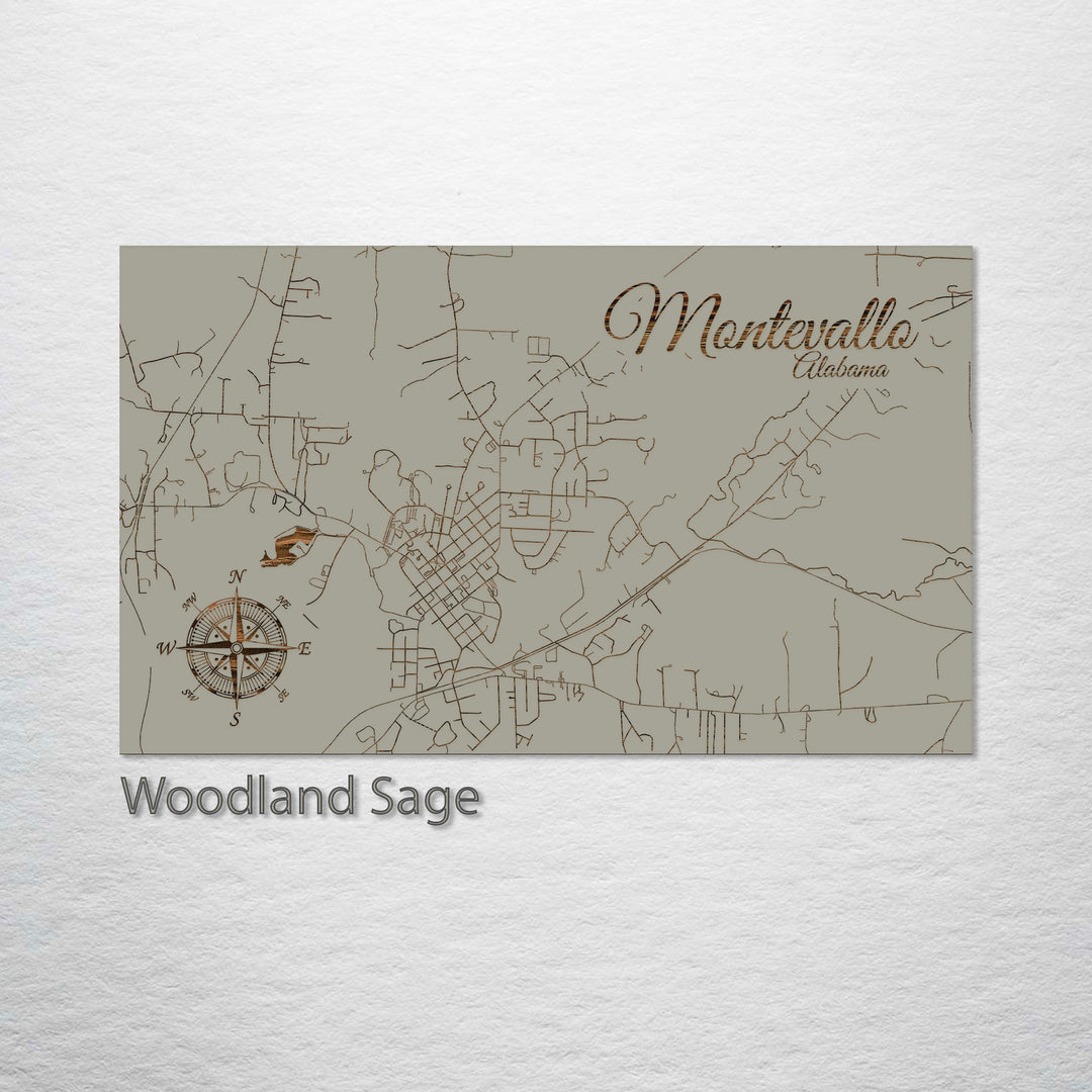 Montevallo, Alabama Street Map