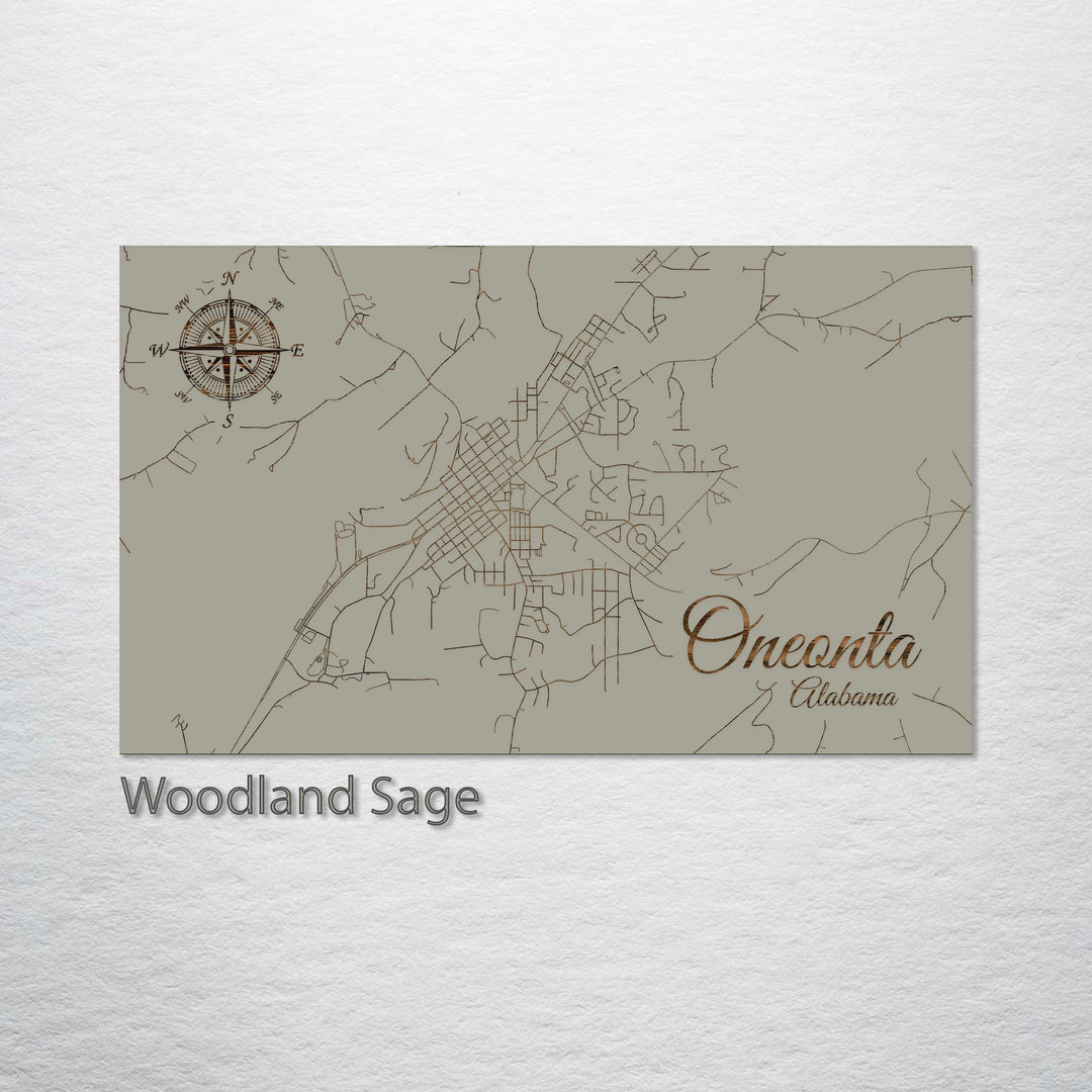 Oneonta, Alabama Street Map