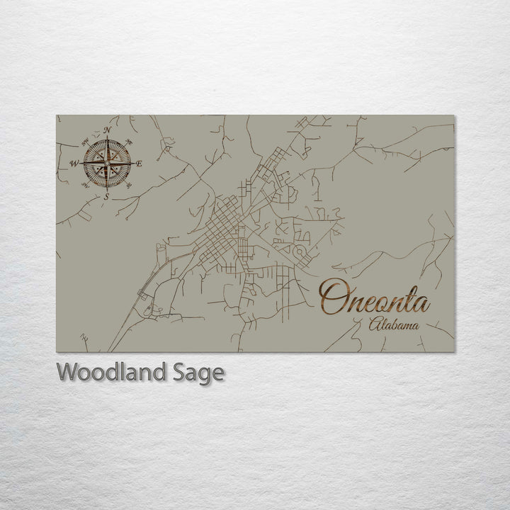 Oneonta, Alabama Street Map