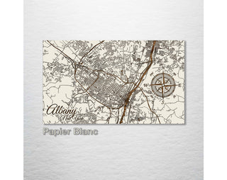 Albany, New York Street Map - Fire & Pine