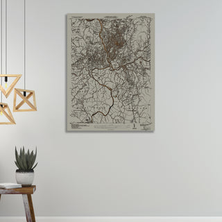 Asheville Geographical Survey - Fire & Pine