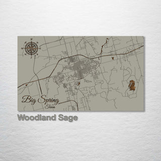 Big Spring, Texas Street Map - Fire & Pine