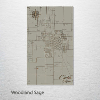 Exeter, California Street Map