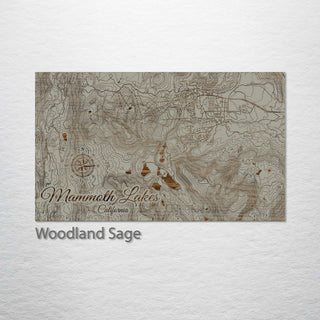 Mammoth Lakes, California Street Map