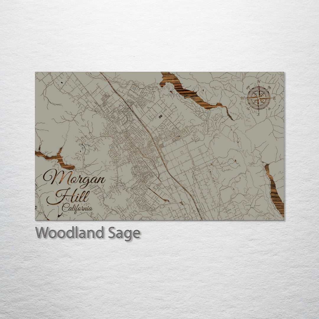 Morgan Hill, California Street Map