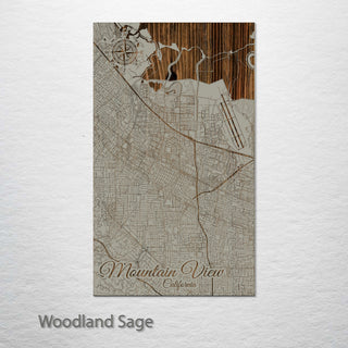 Mountain View, California Street Map