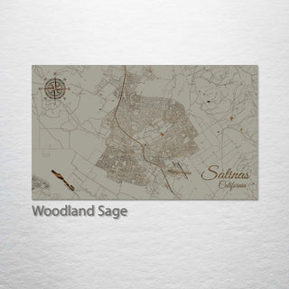 Salinas, California Street Map