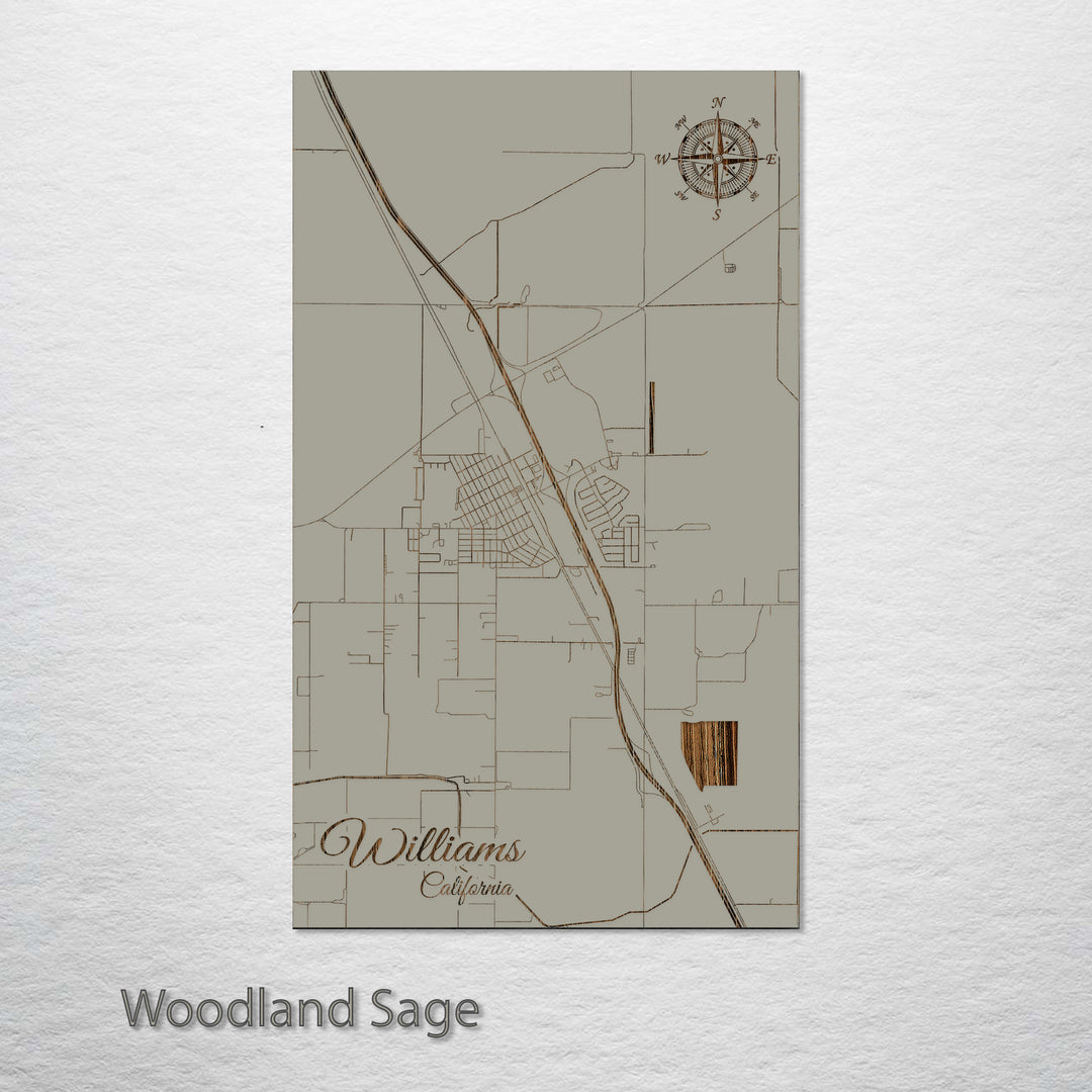 Williams, California Street Map
